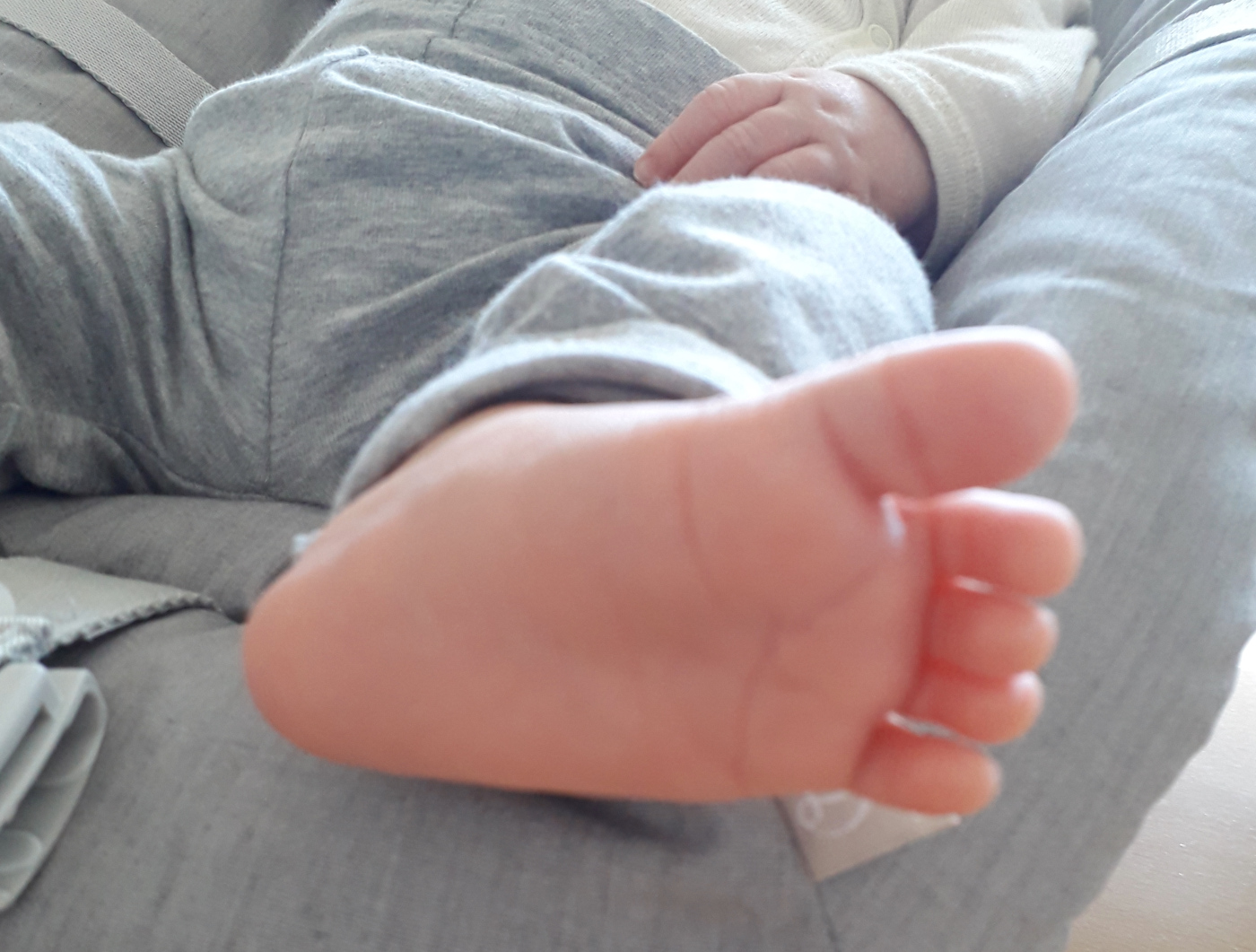 Felix foot